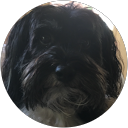 Nicole O'Callaghan profile picture